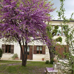 https://bb-alte.hotelinveneto.com